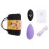 FEELZTOYS Chilot - vibrator clitoridian cu acumulator și control radio (mov)