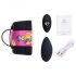 Vibrator clitoridian cu radio și acumulator, FeelzToys Panty (negru)